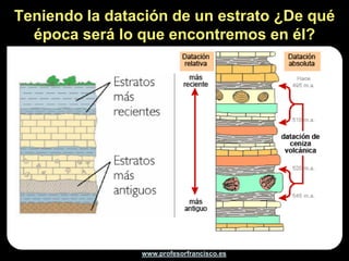 Teniendo la datación de un estrato ¿De qué
  época será lo que encontremos en él?




                www.profesorfrancisco.es
 