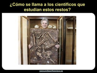 ¿Cómo se llama a los científicos que
     estudian estos restos?




              www.profesorfrancisco.es
 