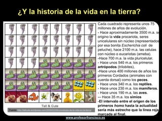 ¿Y la historia de la vida en la tierra?
                                                                                       Cada cuadrado representa unos 75
                                                                                       millones de años de evolución.
                                                                                       - Hace aproximadamente 3500 m.a. se
                                                                                       origino la vida procariota, seres
                                                                                       unicelulares sin núcleo (representados
                                                                                       por esa bonita Escherichia coli de
                                                                                       peluche), hace 2100 m.a. las celulas
                                                                                       con núcleo o eucariotas (ameba).
                                                                                       -Hace 700 m.a. la vida pluricelular.
                                                                                       - Hace unos 540 m.a. los primeros
                                                                                       artrópodos (trilobites),
                                                                                       -Hace unos 400 millones de años los
                                                                                       primeros Cordados (animales con
                                                                                       cuerda dorsal) como los peces.
                                                                                       - Hace unos 340 m.a. los reptiles.
                                                                                       - Hace unos 230 m.a. los mamíferos.
                                                                                       - Hace unos 190 m.a. las aves.
                                                                                       -– Hace 35 m.a. los simios
                                                                                       -El intervalo entre el origen de los
                                                                                       primeros homo hasta la actualidad
Fuente: http://tallcute.wordpress.com/2009/03/09/cronologia-de-la-vida-en-la-tierra/   sería más estrecho que la linea roja
                                                                                       marcada al final.
                                                         www.profesorfrancisco.es
 