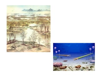 Historia de la tierra1