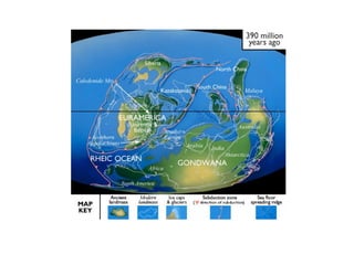 Historia de la tierra1