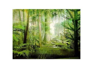 Historia de la tierra1