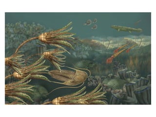 Historia de la tierra1