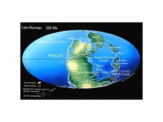 Historia de la tierra1