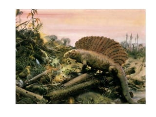 Historia de la tierra1