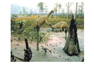 Historia de la tierra1