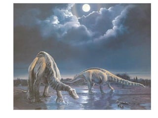 Historia de la tierra1