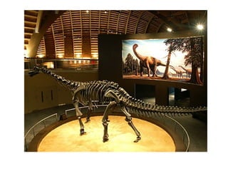 Historia de la tierra1