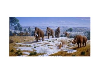 Historia de la tierra1