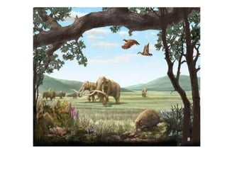 Historia de la tierra1