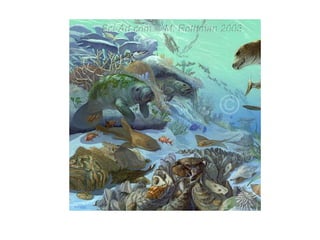 Historia de la tierra1