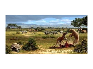 Historia de la tierra1