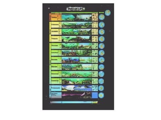 Historia de la tierra1