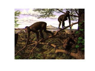 Historia de la tierra1