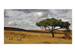 Historia de la tierra1