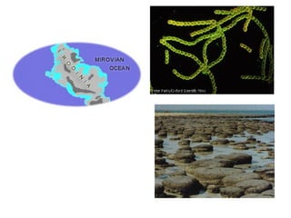 Historia de la tierra1