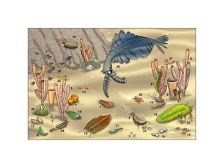 Historia de la tierra1