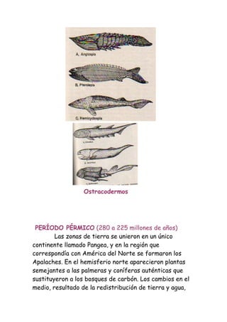 Ostracodermos




 PERÍODO PÉRMICO (280 a 225 millones de años)
        Las zonas de tierra se unieron en un único
continente llamado Pangea, y en la región que
correspondía con América del Norte se formaron los
Apalaches. En el hemisferio norte aparecieron plantas
semejantes a las palmeras y coníferas auténticas que
sustituyeron a los bosques de carbón. Los cambios en el
medio, resultado de la redistribución de tierra y agua,
 