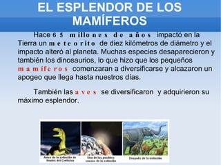 EL ESPLENDOR DE LOS MAMÍFEROS Hace  65 millones de años  impactó en la Tierra un  meteorito  de diez kilómetros de diámetro y el impacto alteró al planeta. Muchas especies desaparecieron y también los dinosaurios, lo que hizo que los pequeños  mamíferos  comenzaran a diversificarse y alcazaron un apogeo que llega hasta nuestros días. También las  aves  se diversificaron  y adquirieron su máximo esplendor. 