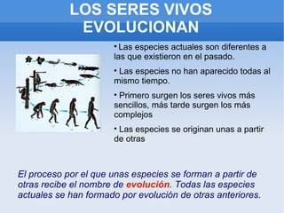 LOS SERES VIVOS EVOLUCIONAN El proceso por el que unas especies se forman a partir de otras recibe el nombre de  evolución . Todas las especies actuales se han formado por evolución de otras anteriores. Las especies actuales son diferentes a las que existieron en el pasado. Las especies no han aparecido todas al mismo tiempo. Primero surgen los seres vivos más sencillos, más tarde surgen los más complejos Las especies se originan unas a partir de otras 