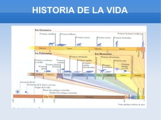 HISTORIA DE LA VIDA 