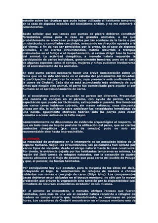 estudio sobre las técnicas que pudo haber utilizado el habitante temprano
en la caza de algunas especies del ecosistema andino, y no me detendré a
considerarlas.
Baste señalar que sus lanzas con puntas de piedra debieron constituir
formidables armas para la caza de grandes animales, a los que
probablemente se acercaban protegidos por las sombras de la tarde o por
un obstáculo, o camuflados con pieles, avanzando en dirección opuesta a la
del viento, a fin de nos ser percibidos por la presa. En el caso de algunos
animales, o en ciertas circunstancias, habría recurrido a trampas
disimuladas en el follaje o al despeñamiento, si sabían dirigir bien la huida
del animal. La actividad cinegética, a menudo habría requerido la
participación de varios individuos, generalmente hombres; pero en el caso
de algunas especies como el conejo, mujeres y niños pudieron involucrarse
en el acorralamiento de los animales.
En este punto parece necesario hacer una breve consideración sobre un
tema que no ha sido abordado en el estudio del poblamiento del Ecuador:
la participación del perro en la cacería, cuya presencia está confirmada en
la cueva de Chobshi. Cada día se está acumulando más evidencia de que
antes que ningún otro animal, el perro fue domesticado para ayudar al ser
humano en el aprovisionamiento de carne.
En el ecosistema andino la situación no parece ser diferente. Presenciar
una cacería de conejos en el páramo, con ayuda de perros, es un
espectáculo que puede ser fácilmente, extrapolado al pasado. Dos hombres
con varios canes hubieran cobrado, sin mayor esfuerzo, unas cincuenta
piezas por día, lo suficiente para satisfacer las necesidades inmediatas de
una banda. Igualmente efectivos habrían sido los perros para cazar
venados o acosar animales de talla mayor.
Lamentablemente no disponemos de evidencia arqueológica al respecto, lo
que en todo caso no impide postular la utilización del perro, que en ciertos
contextos cinegéticos (p.e. caza de conejos) pudo no solo ser
recomendable sino hasta imprescindible.
La vivienda
La necesidad de protegerse en la intemperie es un postulado básico de la
especie humana. Según las circunstancias, los paleoindios han optado por
varios tipos de vivienda, desde el abrigo natural hasta la casa construida.
Por ciento, la evidencia dejada por los habitantes tempranos es mínima. La
región del Ilaló carece de refugios naturales, con la excepción de cuatro
cuevas ubicadas en el flujo de basalto que pasa cerca del pueblo de Palugo
y que, al parecer, no fueron habitadas.
Por consiguiente hay que postular, para la mayoría de los sitios del Ilaló,
incluyendo el Inga, la construcción de refugios de madera o chozas
cubiertas con ramas o con paja de cerro (Stipa ichu). Los campamentos
bases debieron estar ubicados en el bosque montano, no sólo por la mayor
protección que provee la vegetación sino también por la disponibilidad casi
inmediata de recursos alimenticios alrededor de los mismos.
En el páramo se encuentran, a menudo, abrigos rocosos que fueron
habitados, pero más de una vez el cazador habría recurrido a refugios de
madera en campo abierto que, incidentalmente, se construyen en pocas
horas. Los cazadores de Chobshi encontraron en el bosque montano una de
 