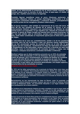 óseos, se ha determinado la presencia de al menos treinta especies, que
incluyen peces como la corvina, el atún, la lisa, el peje-sapo, el róbalo, el
pargo, etc.; reptiles como la boa y la lagartija.
También figuran mamíferos como el zorro (Dusicyon sechurae), la
cervicabra (Mazama rufina), el conejo (Sylvilagus brasiliensis) y el oso
hormiguero (Tamandua tetradáctila), y moluscos diversos, principalmente
la concha prieta de los manglares (Anadara tuberculosa).
De la fauna terrestre, cabe señalar la importancia de la caza del zorro. El
sitio 80 dio una muestra de dientes de al menos 27 zorros, y en un
enterramiento Stothert descubrió una concentración de dientes de este
animal junto a un esqueleto, lo que significa que, además de consumir esta
especie, la gente de Vegas recogía sus dientes para ofrendas funerarias. En
fin, hay que señalar que la cervicabra, aunque poco representada en el
sitio, pudo haber constituido un importante aporte para la dieta de la gente
de Vegas.
La naturaleza de la caza era, probablemente, similar a la de los cazadores
serranos, pero tal vez se llevaba a cabo con técnicas menos sofisticadas.
No se han encontrado puntas de proyectil líticas en el sitio 80, lo que
sugiere que los cazadores recolectores de Vega las fabricaban de madera,
o simplemente no las fabricaban, porque recurrían a técnicas de caza más
sencillas, como el acorralamiento de animales jóvenes o viejos, uso de
trampas, o ataques sorpresivos a animales dormidos o enfermos.
Stothert estima que la dieta proteínica provenía en un 54% de animales
terrestres, 35% de pescado y 11% de moluscos. No se han conservado
restos de plantas, pero recientemente un análisis de fitolitos en muestras
de suelo del sitio 80 dio como resultado la presencia de maíz. Es de
suponer que la recolección de plantas era similar en variedad a la fauna
consumida, lo que indica una economía generalizada y de amplio espectro,
característica de las sociedades arcaicas.
Orígenes de la Cultura Las Vegas
En 1974 usé los sitios precerámicos de la península de Santa Elena como base para
denominar a una Tradición Noroccidental Sudamericana. Señalé que estos complejos
eran distintos de los asignados a la Tradición Andina de Cazadores y que todos los
grupos constituyentes no estaban adaptados exclusivamente a un ambiente del litoral,
sino a una amplia gama de submedios encontrados en el noroeste de América del Sur y
Centroamérica meridional.
Recientemente me han impresionado las ideas de Ranere, quien ha postulado una
adaptación cultural temprana al bosque tropical, que tuvo su inicio en América Central
durante el Pleistoceno tardío... Es conveniente interpretar a Las Vegas también como
una manifestación de la misma tradición...
Un problema de la interpretación histórica de estos complejos es que la mayor parte del
bosque tropical de Centroamérica, Colombia y Ecuador no ha sido estudiada por los
arqueólogos. Los sitios conocidos los encontramos en zonas tropicales húmedas, pero
también en áreas sin bosques, tierra adentro, como la Sabana de Bogotá.
Aunque la península de Santa Elena jamás fue completamente boscosa, estaba bordeada
de manglares en la época precerámica. Esta ocupación y la de Talara, Perú, se pueden
interpretar como extensiones litorales de la cultura precerámica de los bosques
tropicales de la zona occidental ecuatoriana, ocupados por gente similar a la de La
Vegas, pero aún desconocida.
 