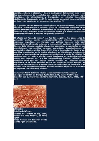 camélidos (llama y alpaca). [] Con la destrucción del régimen inca y con
las depredaciones de españoles que hurtaron miles de animales para
finalidades de alimentación y transporte, los rebaños imperiales
rápidamente desaparecieron. [] En poco tiempo se notó el fenomenal éxito
de las ovejas españolas en ambientes nor-andinos []
[] El ganado vacuno también se multiplicó a un paso acelerado, ocupando
terrenos cultivables que el reducido grupo de cultivadores indígenas ya no
podían sembrar ni defender militarmente. La tecnología agrícola a base del
arado de buey, posibilitó el uso intensivo de tierras que antes se cultivaban
solamente mediante el método de quema y barbecho.
El efecto del "ganado menor" no fue tan negativo. En pocos años la
población andina asimiló completamente los animales domésticos
menores, importados de Europa. Las gallinas tuvieron éxito casi
instantáneo en el mundo indígena, y los cerdos [] pudieron no solamente
florecer bajo climas de variada altura, sino acompañar a sus dueños en sus
expediciones. Las semillas europeas aumentaron apreciablemente el
potencial productivo de los Andes []. El trigo y la cebada, sin llegar a ser
comidas importantes en la cocina aborigen, se difundieron ampliamente
porque los encomenderos exigieron su producción a modo de tributo. Es
probable que, en cierto grado, la cebada desplazara los tubérculos andinos
(papa, oca, mashua, etc.) y a las chenopodáceas (quinua, cañihua). Las
cosechas tropicales del Nuevo Mundo también se radicaron desde
comienzos de la época colonial. En los territorios del actual Ecuador, el
cultivo de la caña de azúcar comenzó durante principios de la colonia, y el
banano planta de probable origen africano aumentó el potencial productor
de regiones con suelo muy húmedo.
Tomado de Frank Salomon, "Crisis y transformación de la sociedad
aborigen invadida", en Enrique Ayala Mora, Edit., Nueva Historia del
Ecuador, Vol. 3, Corporación Editora Nacional / Grijalba, Quito, 1988, 108-
111
GRABADO
Batalla del Cuzco
Grabado de Teodoro de Bry, 1590,
tomado del libro América, de Philip
Zigler.
Banco Central del Ecuador, Fondo
Jacinto Jijón y Caamaño.
 