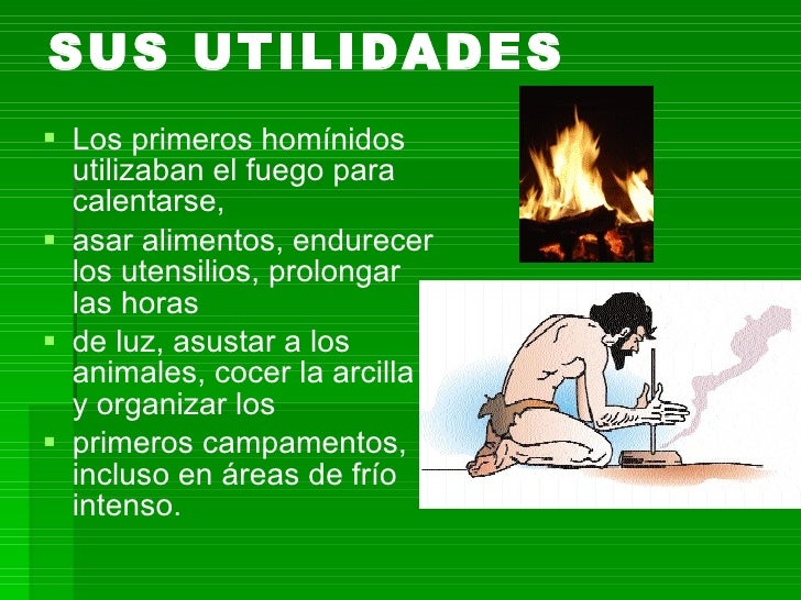 Historia Del Fuego