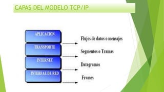 CAPAS DEL MODELO TCP/IP
 