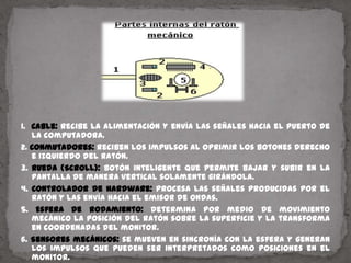 1.  Cable: recibe la alimentación y envía las señales hacia el puerto de la computadora.2. Conmutadores: reciben los impulsos al oprimir los botones derecho e izquierdo del ratón.3. Rueda (Scroll): botón inteligente que permite bajar y subir en la pantalla de manera vertical solamente girándola.4. Controlador de hardware: procesa las señales producidas por el ratón y las envía hacia el emisor de ondas.5. Esfera de rodamiento: determina por medio de movimiento mecánico la posición del ratón sobre la superficie y la transforma en coordenadas del monitor.6. Sensores mecánicos: se mueven en sincronía con la esfera y generan los impulsos que pueden ser interpretados como posiciones en el monitor.