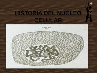 Historia del nucleo celular 