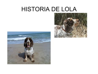 HISTORIA DE LOLA 