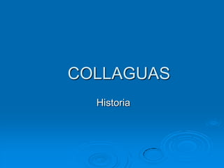 COLLAGUAS
  Historia
 