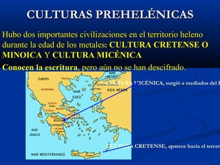 Sus costas son  recortadas 