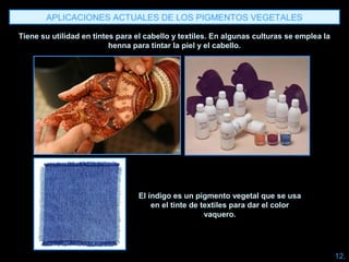 APLICACIONES ACTUALES DE LOS PIGMENTOS VEGETALES
Tiene su utilidad en tintes para el cabello y textiles. En algunas culturas se emplea la
henna para tintar la piel y el cabello.
El índigo es un pigmento vegetal que se usa
en el tinte de textiles para dar el color
vaquero.
12.
 