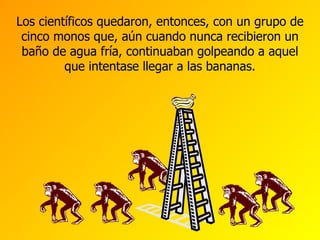Los científicos quedaron, entonces, con un grupo de cinco monos que, aún cuando nunca recibieron un baño de agua fría, continuaban golpeando a aquel que intentase llegar a las bananas. 