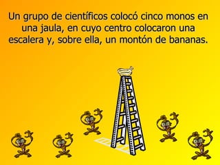 Un grupo de científicos colocó cinco monos en una jaula, en cuyo centro colocaron una escalera y, sobre ella, un montón de bananas. 