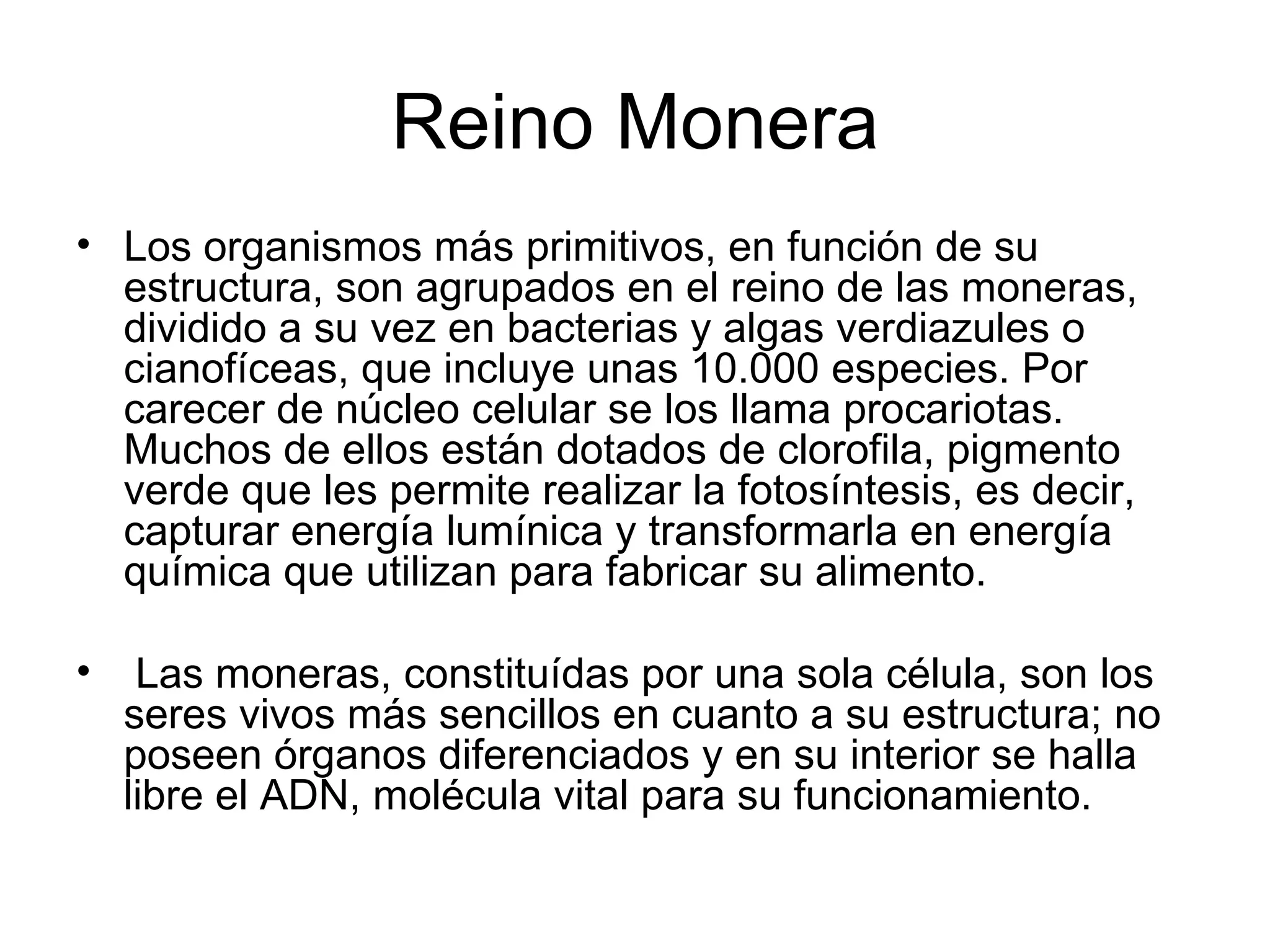 Historia De Los Reinos | PPT