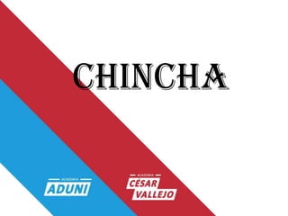 CHINCHA
 