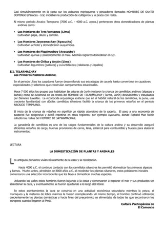 Casi simultáneamente en la costa sur los aldeanos marisqueros y pescadores llamados HOMBRES DE SANTO
   DOMINGO (Paracas - Ica) iniciaban la producción de cultígenos y la pesca con redes.

   Al mismo periodo Arcaico Temprano (7000 a.C. - 4000 a.C. aprox.) pertenecen otros domesticadores de plantas
      andinas como:

   • Los Hombres de Tres Ventanas (Lima)
     Cultivaban papa, olluco y camote.

   • Los Hombres Jaywamachay (Ayacucho)
     Cultivaban achiote y domesticaron auquénidos.

   • Los Hombres de Piquimachay (Ayacucho)
     Cultivaban quinua y posteriormente el maíz. Además lograron domesticar el cuy.

   • Los Hombres de Chilca y Ancón (Lima)
     Cultivaban legumbres (pallares) y cucurbitaceas (calabazas y zapallos)

III. TELARMACHAY
   Los Primeros Pastores Andinos

  En el periodo Lítico los cazadores fueron desarrollando sus estrategias de cacería hasta convertirse en cazadores
  especializados y selectivos que construían campamentos estacionales.

    Hace 7 000 años los grupos que habitaban las alturas de Junín iniciaron la crianza de camélidos andinos (alpacas y
   llamas) como se evidencia en los restos del HOMBRE DE TELARMACHAY (Tarma, Junín) descubiertos y estudiados
   por Danielee Lavallée. La reconocida arqueóloga sostiene que en el hábitat natural de los camélidos, la puna, una
   creciente familiaridad con dóciles camélidos silvestres facilitó la crianza de los primeros rebaños en el periodo
   ARCAICO TEMPRANO.

   El inicio de la crianza de rebaños no significó un rápido abandono de la cacería. El paso a una economía de
   pastoreo fue progresivo y debió repetirse en otras regiones; por ejemplo Ayacucho, donde Richard Mac Neish
   estudió los restos del HOMBRE DE JAYWAMACHAY.

   La ganadería de camélidos es uno de los rasgos fundamentales de la cultura andina y su desarrollo aseguró
   eficientes rebaños de carga, buenas provisiones de carne, lana, estiércol para combustible y huesos para elaborar
   instrumentos.



LECTURA

                                LA DOMESTICACIÓN DE PLANTAS Y ANIMALES



L  os antiguos peruanos vivían básicamente de la caza y la recolección.

       Hacia 4000 a.C. el continuo contacto con los camélidos silvestres les permitió domesticar las primeras alpacas
y llamas. Mucho antes, alrededor de 8000 años a.C. al recolectar las plantas silvestres, estos pobladores iniciales
comenzaron una selección inconsciente que los llevó a domesticar muchas especies.

   Utilizando los valles estos hombres fueron bajando a la costa y comenzaron a explorar el mar y sus productos sin
abandonar la caza, y eventualmente se fueron quedando a lo largo del litoral.

   En estos asentamientos la caza se convirtió en una actividad económica secundaria mientras la pesca, el
marisqueo y la matanza de lobos marinos la fueron reemplazando. Al mismo tiempo, el hombre continuó utilizando
crecientemente las plantas domésticas y hacia fines del precerámico se alimentaba de todas las que encontraron los
europeos cuando llegaron al Perú.
                                                                                        Cultura Prehispánica de
                                                                                                     El Comercio
 