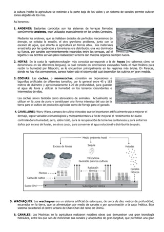la cultura Moche la agricultura se extiende a la parte baja de los valles y un sistema de canales permite cultivar
zonas alejadas de los ríos.
Así tenemos:
1. ANDENES: Bastantes conocidos son los sistemas de terrazas llamados
comúnmente andenes, eran utilizados especialmente en los Andes Centrales.
Mediante los andenes, que se hallaban dotados de perfectos mecanismos de
drenaje, se evitaba la erosión, el otro gravísimo problema, junto con la
escasez de agua, que afronta la agricultura en tierras altas. Los materiales
arrastrados por las quebradas y torrenteras era distribuido, una vez dominada
su fuerza, por canales convenientemente repartidos entre las terrazas, así el
légamo y los detritos servían para reabastecer la tierra con materia orgánica siempre nueva.
2. HOYAS: En la costa la «paleotecnología» más conocida corresponde a la de hoyas (no sabemos cómo se
denominaba en las diferentes lenguas), la cual consiste en extensiones excavadas hasta el nivel freático para
recibir la humedad por filtración; se le encuentran principalmente en las regiones más áridas. En Paracas,
donde no hay ríos permanentes, parece haber sido el sistema del cual dependían los cultivos en gran medida.
3. COCHAS: Las cochas, o mamacochas, consisten en depresiones o
lagunillas artificiales de diferentes tamaños, por lo general entre 45 y 183
metros de diámetro y aproximadamente 1.20 de profundidad, para guardar
el agua de lluvia y utilizar la humedad en los terrenos circundantes o
intermedios de ellas.
Las cochas sirven también como abrevadero de animales. Actualmente se
utilizan en la zona de puna y constituyen una forma intensiva del uso de la
tierra para el cultivo de productos agrícolas como de forraje para el ganado.
4. CAMELLONES: Waru-Waru, campos de cultivo elevados que se levantaron artificialmente para mejorar el
drenaje, lograr variables climatológicos y microambientales a fin de mejorar el rendimiento del suelo
controlando la humedad; pero, sobre todo, para la recuperación de terrenos pantanosos y para evitar los
daños por exceso de lluvias, en otros casos, para conservar el agua estacional y distribuirla después.
5. WACHAQUES: Los wachaques era un sistema artificial de estanques, de cerca de diez metros de profundidad,
excavados en la tierra, que se alimentaban por medio de canales o por aproximación a la capa freática. Este
sistema caracterizó el centro urbano de Chan Chan del reino de Chimú.
6. CANALES: Los Mochicas en la agricultura realizaron notables obras que demuestran una gran tecnología
hidráulica, entre las que son de mencionar sus canales y acueductos de gran longitud, que permitían una gran
Exceso de lluvias
Plantas
Cama de cultivo
Suelo fértil Subirrigación hídrica
Radiación
térmica
Microclima
favorable para los cultivos
Heladas
Sequía
Medio ambiente hostil
Canales
hídricos
 