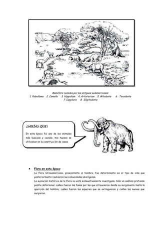 Mamífero cazados por los antiguos sudamericanos:
   1. Paleollama    2. Camello 3. Hippidium 4. Artioterium 5. Milodonte       6. Toxodonte
                                  7. Capybara 8. Glyptodonte




¡SABÍAS QUE!

En esta época fui uno de los animales
más buscado y cazado, mis huesos se
utilizaban en la construcción de casas.




      Flora en esta época:
       La flora latinoamericana, preexistente al hombre, fue determinante en el tipo de vida que
       posteriormente realizaron las comunidades aborígenes.
       La evolución histórica de la flora no está exhaustivamente investigada. Sólo un análisis profundo
       podría determinar cuáles fueron las fases por las que atravesaron desde su surgimiento hasta la
       aparición del hombre; cuáles fueron las especies que se extinguieron y cuáles las nuevas que
       surgieron.
 