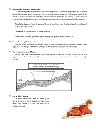    Gran cantidad de plantas domesticadas
        La cantidad de plantas domesticadas por los antiguos peruanos es numerosa. Es por esto que el Perú es
    considerado como uno de los más grandes centros de domesticación de plantas y animales del mundo. En el
    Perú hubo plantas domesticadas desde hace aproximadamente 8,000 años (el frejol y el maíz fueron las
    primeras). No todas las plantas fueron cultivadas al mismo tiempo. Entre las plantas domesticadas tenemos:


       Alimenticias: La papa, el maíz, la quinua, el frejol, el camote, la yuca, el pallar, el zapallo, la cañigua, el
        tarwi, la oca, el ají, el olluco.


       Industriales: El algodón, la coca, el achiote, el palillo.


       Frutales: Piña, chirimoya, guanábana, papaya, palta, pacae, guayaba, pepino, lúcuma, etc.


   Uso de Chacras y Hundidas u Hoyas
        Permitían aprovechar la humedad del suelo. Lo que se hacia era remover capas superficiales del suelo hasta
    llegar muy cerca del agua subterránea. Este tipo de chacras se han encontrado por toda la costa.


   Uso de camellones en el Titicaca
        Son una especie de campos elevados. Se trata de levantar el suelo sobre la superficie del terreno para
    mejorar las condiciones de cultivo. Todavía se puede encontrar la utilización de este sistema en el lago
    Titicaca.


                                            UBICACIÓN DE LAS HOYAS
                                       Esquema sobre la ubicación de las hoyas.




   Uso de Islas Flotantes
        Los Uros construyeron islas de totora y las
    cubrían de tierra para poderlas cultivar. Hasta hoy se
    utiliza este sistema en el lago. Las islas parecen
    jardines flotantes.
 
