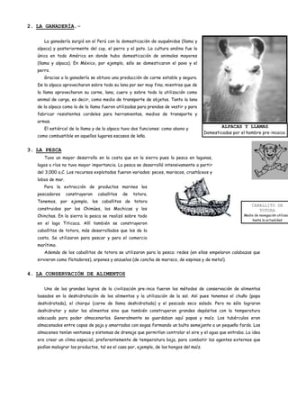 2. LA GANADERÍA.-

      La ganadería surgió en el Perú con la domesticación de auquénidos (llama y
   alpaca) y posteriormente del cuy, el perro y el pato. La cultura andina fue la
   única en toda América en donde hubo domesticación de animales mayores
   (llama y alpaca). En México, por ejemplo, sólo se domesticaron el pavo y el
   perro.
      Gracias a la ganadería se obtuvo una producción de carne estable y segura.
   De la alpaca aprovecharon sobre todo su lana por ser muy fina; mientras que de
   la llama aprovecharon su carne, lana, cuero y sobre todo la utilización como
   animal de carga, es decir, como medio de transporte de objetos. Tanto la lana
   de la alpaca como la de la llama fueron utilizadas para prendas de vestir y para
   fabricar resistentes cordeles para herramientas, medios de transporte y
   armas.
      El estiércol de la llama y de la alpaca tuvo dos funciones: como abono y
                                                                                                 ALPACAS Y LLAMAS
                                                                                         Domesticadas por el hombre pre-incaico.
   como combustible en aquellos lugares escasos de leña.


3. LA PESCA
      Tuvo un mayor desarrollo en la costa que en la sierra pues la pesca en lagunas,
   lagos o ríos no tuvo mayor importancia. La pesca se desarrolló intensivamente a partir
   del 3,000 a.C. Los recursos explotados fueron variados: peces, mariscos, crustáceos y
   lobos de mar.
      Para la extracción de productos marinos los
   pescadores      construyeron   caballitos   de   totora.
   Tenemos, por ejemplo, los caballitos de totora
                                                                                                                CABALLITO DE
   construidos por los Chimúes, los Mochicas y los                                                                 TOTORA
   Chinchas. En la sierra la pesca se realizó sobre todo                                                    Medio de navegación utilizad
                                                                                                                hasta la actualidad
   en el lago Titicaca. Allí también se construyeron
   caballitos de totora, más desarrollados que los de la
   costa. Se utilizaron para pescar y para el comercio
   marítimo.
      Además de los caballitos de totora se utilizaron para la pesca: redes (en ellas empelaron calabazas que
   sirvieron como flotadores), arpones y anzuelos (de concha de marisco, de espinas y de metal).


4. LA CONSERVACIÓN DE ALIMENTOS

      Uno de los grandes logros de la civilización pre-inca fueron los métodos de conservación de alimentos
   basados en la deshidratación de los alimentos y la utilización de la sal. Así pues tenemos el chuño (papa
   deshidratada), el charqui (carne de llama deshidratada) y el pescado seco salado. Pero no sólo lograron
   deshidratar y salar los alimentos sino que también construyeron grandes depósitos con la temperatura
   adecuada para poder almacenarlos. Generalmente se guardaban aquí papas y maíz. Los tubérculos eran
   almacenados entre capas de paja y amarrados con sogas formando un bulto semejante a un pequeño fardo. Los
   almacenes tenían ventanas y sistemas de drenaje que permitían controlar el aire y el agua que entraba. La idea
   era crear un clima especial, preferentemente de temperatura baja, para combatir los agentes externos que
   podían malograr los productos, tal es el caso por, ejemplo, de los hongos del maíz.
 