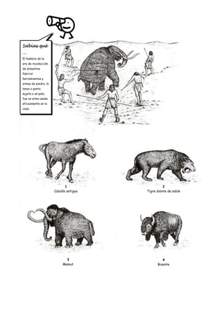 Sabías qué
…
El hombre de la
era de recolección
de alimentos
fabricó
herramientas y
armas de piedra, la
lanza o punta
sujeta a un palo,
fue un arma usada
eficazmente en la
caza.




                             1                    2
                      Caballo antiguo   Tigre diente de sable




                             3                   4
                           Mamut              Bisonte
 