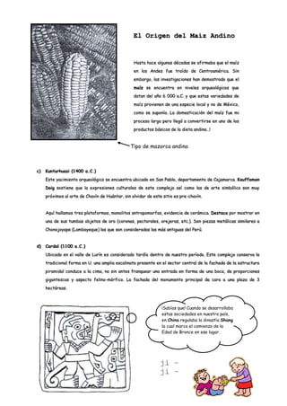 El Origen del Maíz Andino


                                                 Hasta hace algunas décadas se afirmaba que el maíz
                                                 en los Andes fue traído de Centroamérica. Sin
                                                 embargo, las investigaciones han demostrado que el
                                                 maíz se encuentra en niveles arqueológicos que
                                                 datan del año 6 000 a.C. y que estas variedades de
                                                 maíz provienen de una especie local y no de México,
                                                 como se suponía. La domesticación del maíz fue mi
                                                 proceso largo pero llegó a convertirse en uno de los
                                                 productos básicos de la dieta andina…!


                                               Tipo de mazorca andina



c)   Kunturhuasi (1400 a.C.)
     Este yacimiento arqueológico se encuentra ubicado en San Pablo, departamento de Cajamarca. Kauffaman
     Doig sostiene que la expresiones culturales de este complejo así como las de arte simbólico son muy
     próximos al arte de Chavín de Huántar, sin olvidar de este sitio es pre-chavín.


     Aquí hallamos tres plataformas, monolitos antropomorfos, evidencia de cerámica. Destaca por mostrar en
     una de sus tumbas objetos de oro (coronas, pectorales, orejeras, etc.). Son piezas metálicas similares a
     Chonojoyape (Lambayeque) las que son consideradas las más antiguas del Perú.


d)   Cardal (1100 a.C.)
     Ubicado en el valle de Lurín es considerado tardío dentro de nuestro período. Este complejo conserva la
     tradicional forma en U. una amplia escalinata presente en el sector central de la fachada de la estructura
     piramidal conduce a la cima, no sin antes franquear una entrada en forma de una boca, de proporciones
     gigantescas y aspecto felino-mórfico. La fachada del monumento principal da cara a una plaza de 3
     hectáreas.



                                                               ¡Sabías que! Cuando se desarrollaba
                                                               estas sociedades en nuestro país,
                                                               en China regulaba la dinastía Shang
                                                               la cual marca el comienzo de la
                                                               Edad de Bronce en ese lugar.




                                                               ji –
                                                               ji –
                                                               ji
 