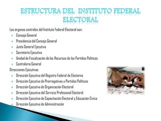 Los órganos centrales del Instituto Federal Electoral son:
  Consejo General

  Presidencia del Consejo General

  Junta General Ejecutiva

  Secretaría Ejecutiva

  Unidad de Fiscalización de los Recursos de los Partidos Políticos

  Contraloría General

Direcciones Ejecutivas
  Dirección Ejecutiva del Registro Federal de Electores

  Dirección Ejecutiva de Prerrogativas y Partidos Políticos

  Dirección Ejecutiva de Organización Electoral

  Dirección Ejecutiva del Servicio Profesional Electoral

  Dirección Ejecutiva de Capacitación Electoral y Educación Cívica

  Dirección Ejecutiva de Administración
 