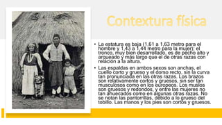 • La estatura es baja (1,61 a 1,63 metro para el
hombre y 1,43 a 1,44 metro para la mujer); el
tronco, muy bien desarrollado, es de pecho alto y
arqueado y más largo que el de otras razas con
relación a la altura.
• Las espaldas en ambos sexos son anchas, el
cuello corto y grueso y el dorso recto, sin la curva
tan pronunciada en las otras razas. Los brazos
son relativamente cortos y gruesos, sin ser tan
musculosos como en los europeos. Los muslos
son gruesos y redondos, y entre las mujeres no
tan ahuecados como en algunas otras razas. No
se notan las pantorrillas, debido a lo grueso del
tobillo. Las manos y los pies son cortos y gruesos.
 