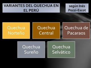 Quechua
Norteño
Quechua
Central
Quechua de
Pacaraos
Quechua
Sureño
Quechua
Selvático
VARIANTES DEL QUECHUA EN
EL PERÚ
según Inés
Pozzi-Escot
 